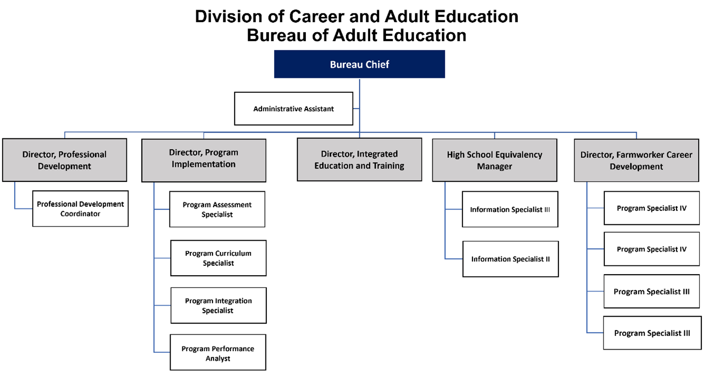 Figure 3.11: DCAE Bureau of Adult Education Organizational Chart shows the organization of the Department of Education, Division of Career and Adult Education, Bureau of Adult Education and the organization of programs under the leadership of the Bureau Chief.